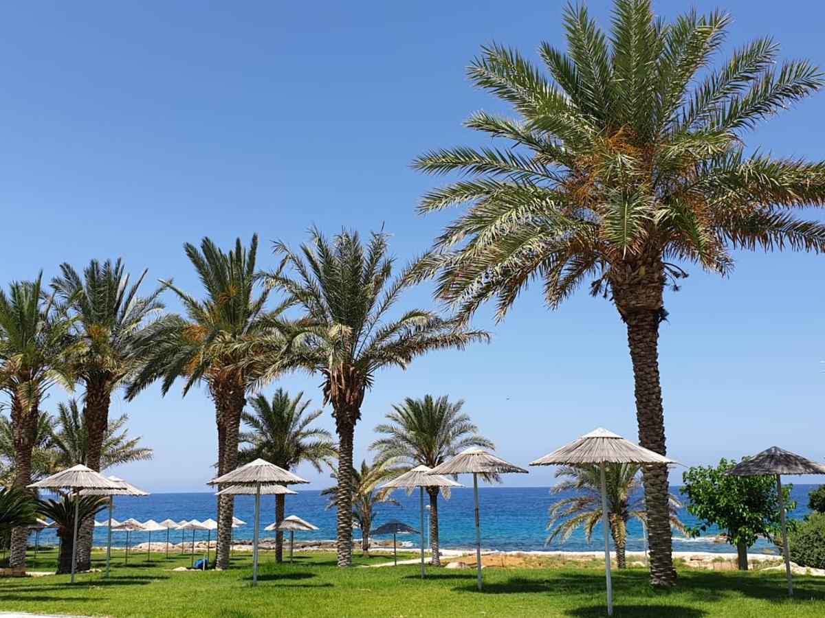 Paphos Seaview Sunset Holiday Apartments מראה חיצוני תמונה